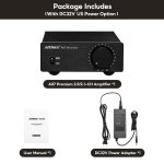 AIYIMA A07 Premium TPA3255 Power Stereo Amplifier with AUX Pre-Out 300W*2 - Image 8